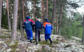 Спасатели за неделю вывели из лесов Ленобласти пять человек