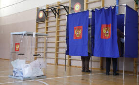 Начался этап выдвижения кандидатов на муниципальных выборах в Ленобласти