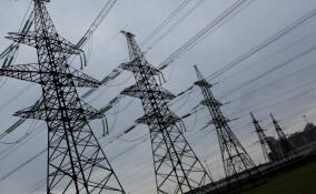 «Россети Ленэнерго» модернизировали энергообъекты в СНТ под Виллози