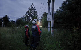 В Ленобласти за ночь восстановили электроснабжение в домах 90 тысяч потребителей