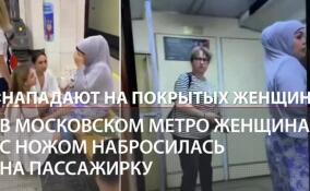 В московском метро пассажирка напала на женщину с ножом: причины и версии ЧП