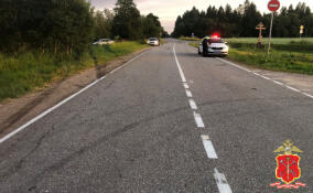 Мотоциклист погиб при столкновении с легковушкой на подъезде к деревне Курковицы