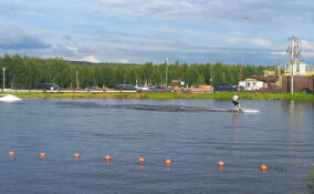 Турнир по вейкбордингу собрал в Коробицыно 70 спортсменов со всей страны