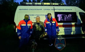 В Тосненском районе спасатели вывели из леса заблудившегося пожилого мужчину