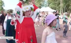 В поселке Низино Ломоносовского района прошел семейный фестиваль «Иван Купала»