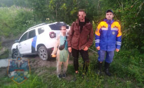 Спасатели вывели из леса у Ястребиного озера заплутавшего мужчину с ребенком