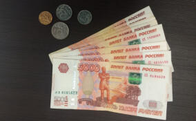 У электромонтера из деревни Глобицы обманом выманили более 2 млн рублей