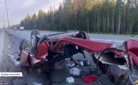 В ДТП на трассе «Скандинавия» погибли два человека