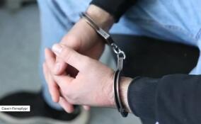Ответил разбоем на сквернословие: в Петербурге задержан подозреваемый в разбойном нападении