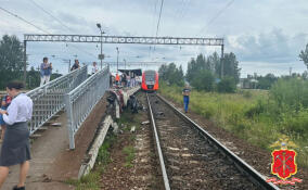 Из-за ДТП с «Ласточкой» в Ленобласти поезда в направлении Пскова идут с задержкой