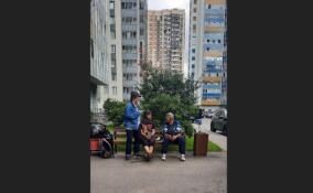 Жители Кудрово жалуются на рассадник маргиналов под окнами