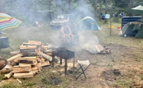 Нарушителей противопожарного режима ловят в лесах Ленобласти