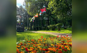 В Кировске обновили флаги городов-побратимов и поселений района