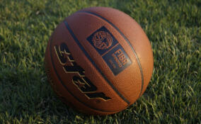 Юный баскетболист порвал другому селезенку во время драки в Тихвине