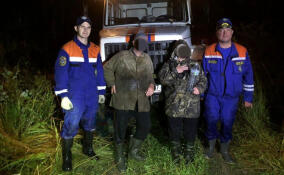 Из леса в Гатчинском районе вывели двух заплутавших женщин