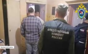 Подозреваемого в убийстве приятеля задержали в Выборгском районе Ленобласти