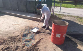 Спасатели собрали отработанный сорбент с места розлива нефтепродуктов в деревне Нурма