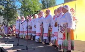 В Гатчинском районе прошел фестиваль «Наливное яблочко»