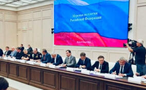 Губернатор Ленобласти принял участие в первом заседании Морской коллегии