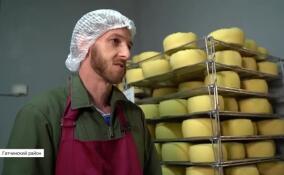 Как француз в Гатчинском районе сыроваром стал