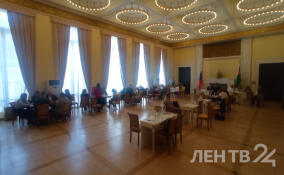 Юристы, нотариусы и судебные приставы бесплатно проконсультировали жителей Ленобласти и Петербурга