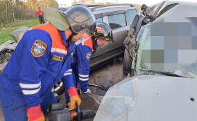 В столкновении трех авто у Пупышево одна женщина погибла и одна пострадала