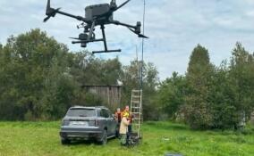 Яркое ведро и беспилотник: поисковики рассказали, как обнаружили в ленинградском лесу 73-летнюю жительницу Псковской области