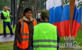 Более 13 тысяч трудовых патентов аннулировали с начала года в Петербурге и Ленобласти