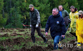 Всероссийская акция «Сохраним лес» в Ленобласти в объективе ЛенТВ24