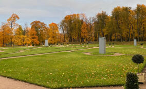 Парковые скульптуры в Гатчине укрыли на зиму