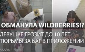 Из-за сбоя в Wildberries жительница Красноярска бесплатно получила товары более чем на миллион рублей