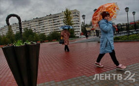 Ветрено, но тепло: о погоде в Ленобласти 24 октября