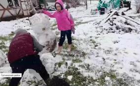 Обещанный синоптиками снег добрался до Ленинградской области