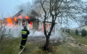 Пожарные и спасатели более 90 раз за неделю выезжали на помощь жителям Ленобласти