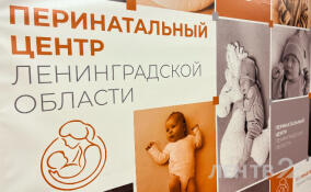 В Ленинградском областном перинатальном центре прошёл день открытых дверей