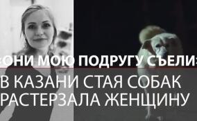 «Жанну разорвали на части и съели»: в Казани стая собак растерзала женщину