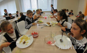 В России разрабатывают единые требования к закупкам продуктов для школьных столовых