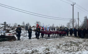 Под Гатчиной перезахоронили останки более 700 военнопленных