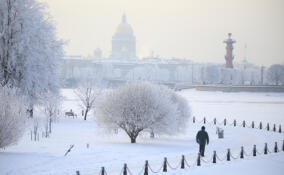 Грядущая зима в Петербурге будет теплее, чем обычно