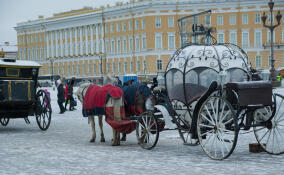 Синоптик рассказал о погоде в Петербурге и Ленобласти 24 ноября