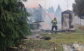 В садоводстве под Тосно полыхали 225 «квадратов»