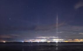 Ноябрьский световой лес вырос над Финским заливом у поселка Лебяжье