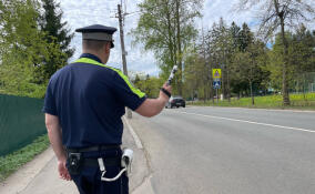 ГИБДД усилит работу в 11 районах Ленобласти