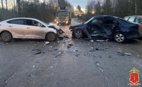 Полиция разбирается в причинах смертельного ДТП под Приозерском