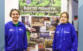 Без малого 2 800 бойцов Красной армии нашли и перезахоронили поисковики в рамках «Вахты памяти» в этом году