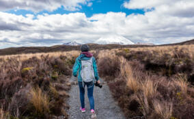 Ленобласть поделится своим опытом создания экологических троп с Республикой Якутия