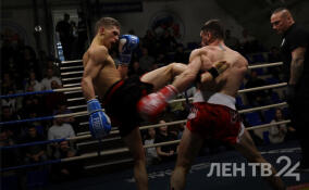 Спортивный вечер К-1: «Ультиматум Удара» – в ярких снимках ЛенТВ24