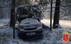 Бастрыкин поручил завести уголовное дело после ДТП с автобусом в Ленобласти