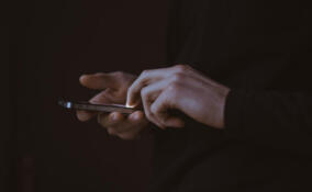 Жителя Нового Девяткино задержали за распространение интимного видео с несовершеннолетей