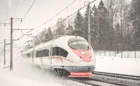 С 27 декабря поезда в Петербурге и Ленобласти начнут ходить по праздничному расписанию